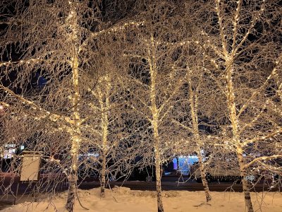 От 0 до -20 градусов: жителей Башкирии ожидают «температурные качели»