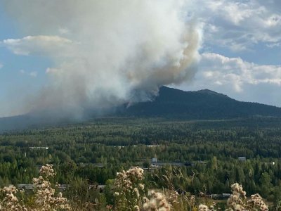 В Башкирии тушат пять лесных пожаров