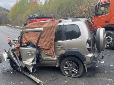 Очередная смертельная авария в Башкирии: в ДТП с лесовозом погиб водитель «Шевроле Нивы»