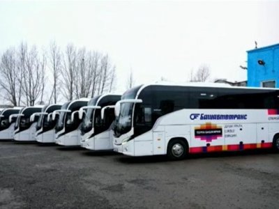 Башкирии необходимо закупить еще 30-50 автобусов - Радий Хабиров