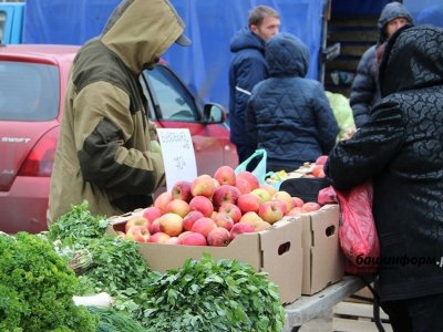 Уфимцев ждут на традиционных сельхозярмарках