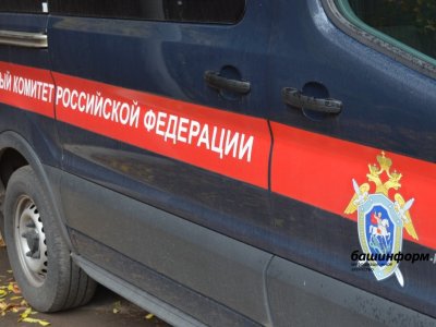 Глава СКР взял на контроль инцидент с гибелью плода у роженицы в Башкирии