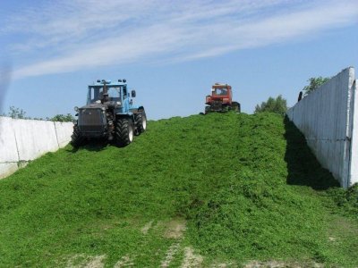 В Башкирии заготовлено почти полмиллиона тонн сенажа