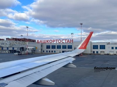 В самолете Нижний Новгород - Уфа экипаж обнаружил неисправность