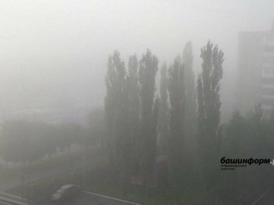МЧС Башкирии предупреждает об ухудшении видимости из-за тумана