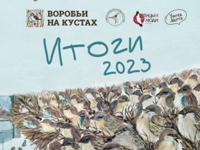 Союз охраны птиц подвел итоги всероссийской переписи воробьев