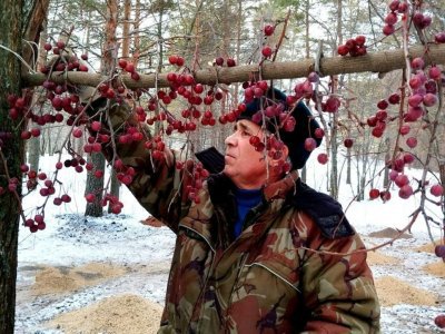 В Башкирии лесники заготовили для зимовки диких животных 170 тонн корма