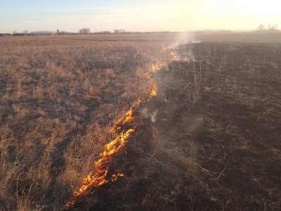 В Башкирии загорелась сухая трава на площади 2 гектара