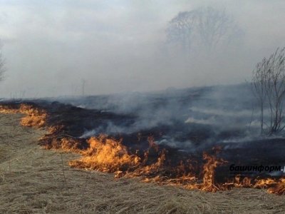В Башкирии за сутки произошло 47 случаев горения травы и мусора
