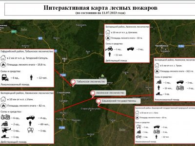 На сайте госкомитета Башкирии по ЧС появилась интерактивная карта действующих пожаров