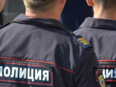 В МВД по Башкирии назвали предварительную причину массовой драки на рынке в Уфе