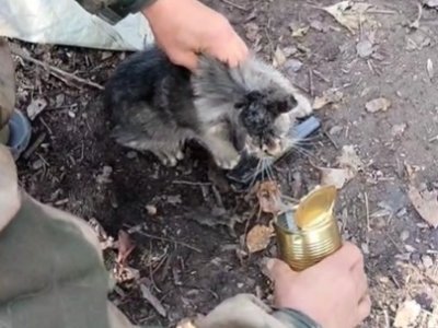 Бойцы башкирского батальона спасли попавшего в беду кота