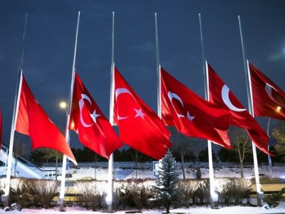 Опубликованы новые данные по жертвам землетрясения в Турции