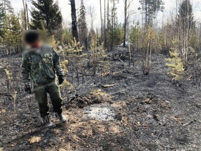 В Башкирии рабочий делянки разжег костер для приготовления обеда и спровоцировал лесной пожар