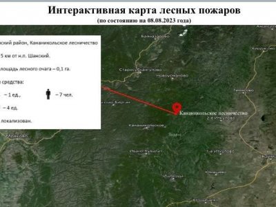 На территории Башкирии зарегистрирован один очаг лесного пожара
