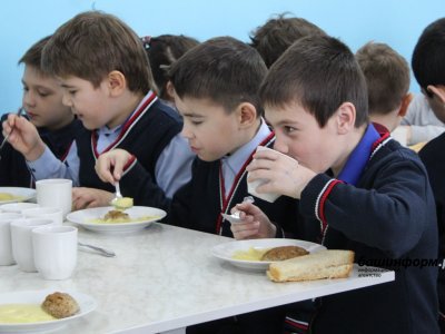 Опыт Башкирии по организации школьного питания признан лучшим в стране