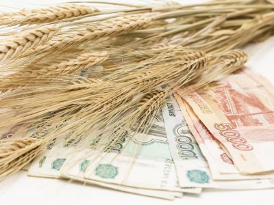 В этом году Башкирия удвоила объемы экспорта зерна