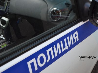 Житель Башкирии заплатит полицейскому за оскорбления 45 тысяч рублей