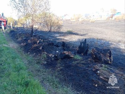 В Башкирии загорелась сухая трава: пожарные не дали огню перейти на жилые дома