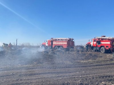 В Башкирии насчитывается уже 289 случаев возгорания сухой травы на площади 255 га - МЧС