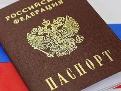 В России для представителей ряда стран упрощено получение гражданства РФ