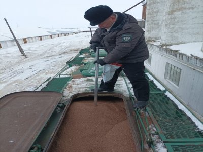 Башкирское предприятие экспортировало в Китай партию семян льна