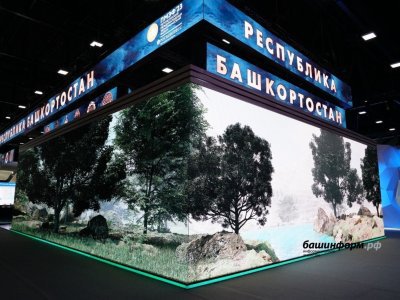 На Петербургском экономическом форуме подписаны соглашения более чем на 3,8 триллиона рублей