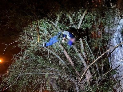В Уфе мужчина выпал из окна высотки и застрял на дереве