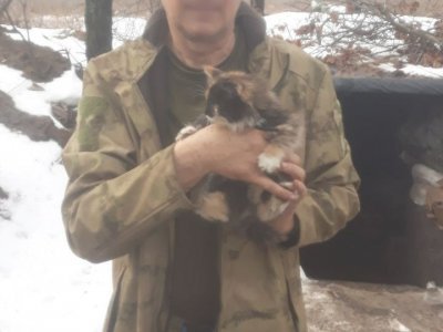 Котята «Патрон» и «Гильза» помогают бойцам СВО из Башкирии бороться с грызунами