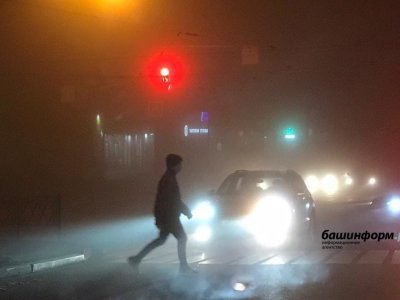МЧС по Башкирии предупреждает о тумане