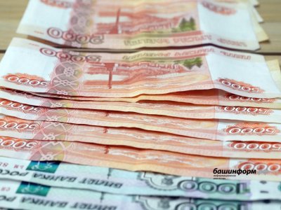 Власти РФ выделили ещё более 17 млрд рублей на поддержку многодетных семей, выплачивающих ипотеку