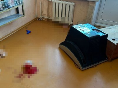 В Уфе малыша убило телевизором: что известно о няне, которая смотрела за детьми на съемной квартире