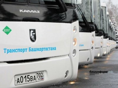 В Башкирии меняется расписание пригородного автобуса Баймак - Сибай