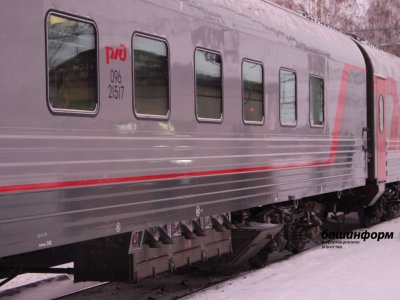 В Башкирии машинист поезда спас косулю от гибели