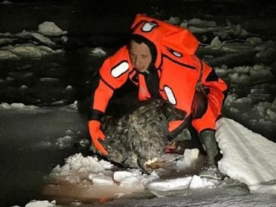 В Уфе спасатели вытащили провалившуюся под лед собаку
