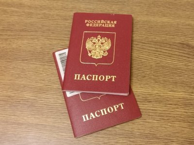 Дмитрий Песков: Выдачу загранпаспортов нового образца приостановили из-за технических проблем