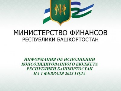 В Башкирии подведены итоги исполнения бюджета в первом месяце 2023 года