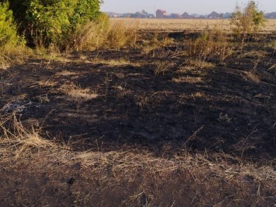 В Кармаскалинском районе Башкирии вблизи села горела сухая трава