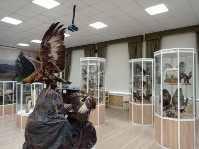 Уфимский университет приглашает бесплатно посетить музеи с уникальными экспонатами