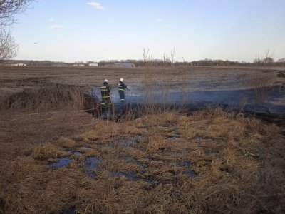 За сутки спасатели Башкирии ликвидировали 37 возгораний сухой травы