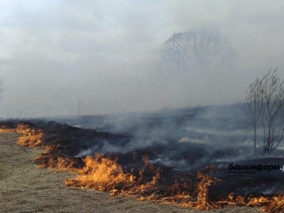 В Башкирии за три дня праздничных выходных произошло 205 пожаров
