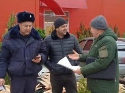 В Башкирии продолжается экологическая операция по сохранению елей