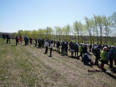 В рамках акции «Сад Памяти» в Башкирии высадят 500 тысяч новых деревьев