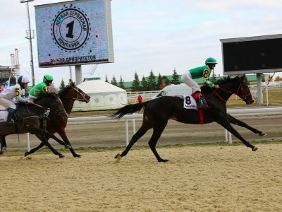 Башкирия и Казахстан планируют сотрудничество в области спортивного коневодства