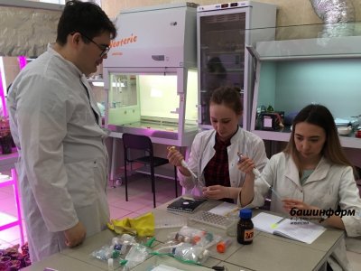 В межвузовском кампусе в Уфе разместят лаборатории молекулярной биоинженерии