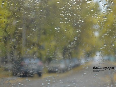 В первые дни июля в Башкирии ожидаются жара и дожди