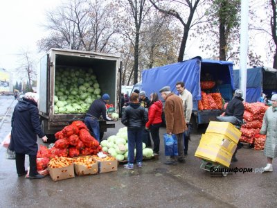 Инвестиции в большие урожаи: как обеспечивается продовольственная безопасность в Башкирии