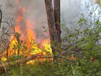В Краснокамском районе Башкирии тушили природный пожар