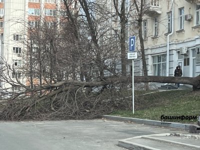 Первые последствия сильного ветра в Уфе: сорвало крышу и повалило деревья