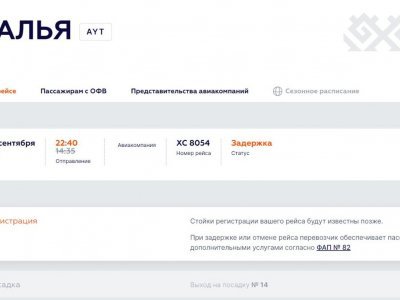 Авиапассажиров задержанного рейса Уфа - Анталья обеспечат напитками и едой